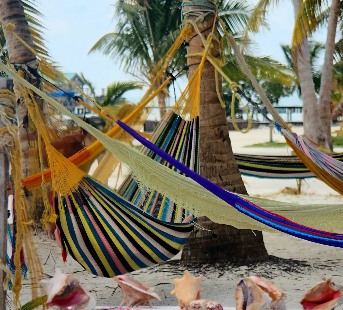 hangmatten-tussen-palmbomen-en-schelpen &middot; guatemala-en-belize-adventure