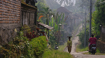 In het idyllische dorpje Ubud ligt tussen de rijstvelden en is de trekpleister voor backpackers.