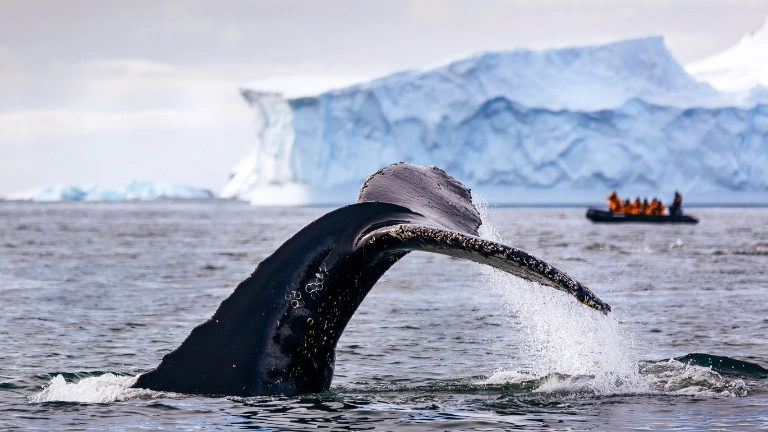 Antarctica