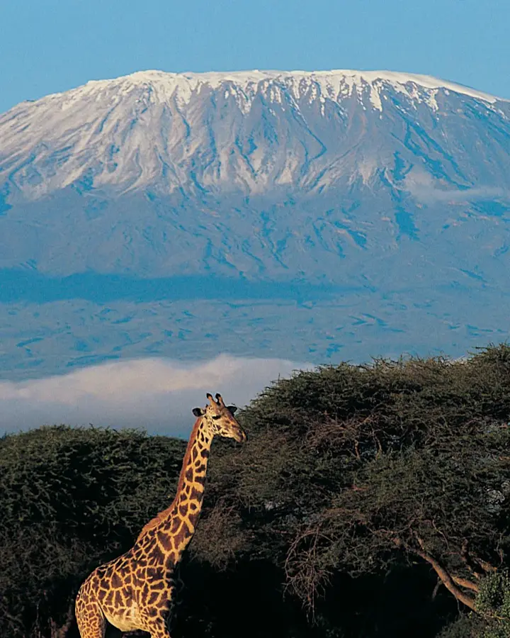 banner afbeelding over Groepsreis Kilimanjaro