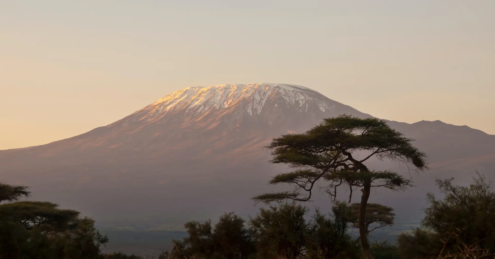 banner afbeelding over Groepsreis Kilimanjaro