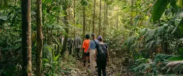 wandeling-door-weelderige-jungle-met-zonlicht