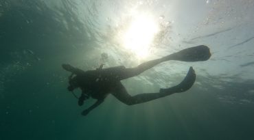 Verken de onderwaterwereld van het duikersparadijs Koh Tao