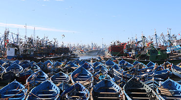 Watersport, hammams en souvenirshoppen in Essaouira