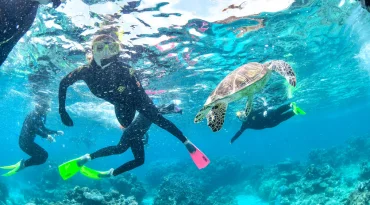 Snorkelen aan The Great Barrier Reef