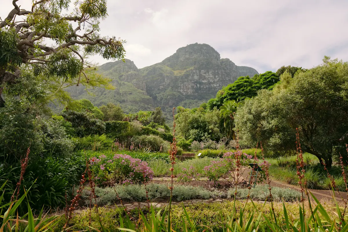 Country page ZAF ZAS Foto