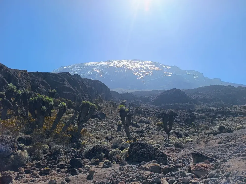 Highlight Klimaatzones Kilimanjaro