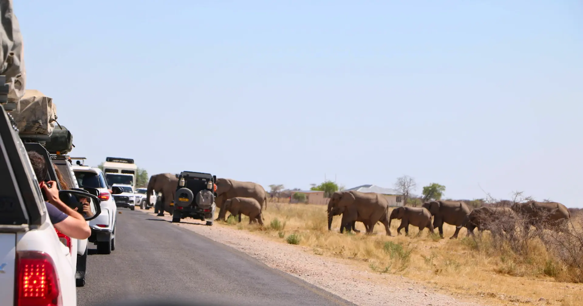 banner afbeelding over Groepsreis Namibië