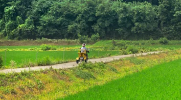 Kom tot rust in de landschappen van Suncheon