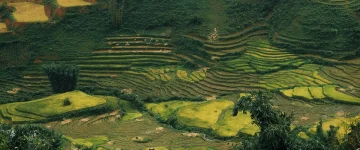 VIE TripProgram Sa Pa