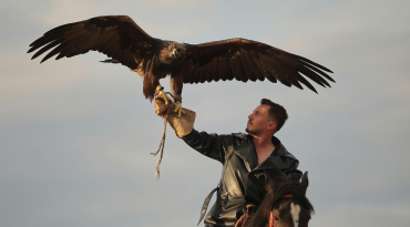 Eagle Hunting Demonstratie