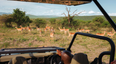 Ga op 3-daagse safari door 's werelds mooiste natuurparken