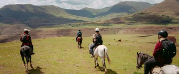 ZAS WEB TripProgram Drakensbergen
