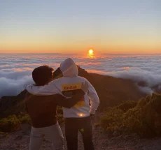 ThemeImage
