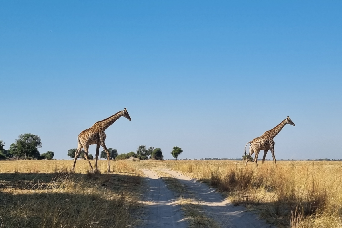 Nieuwsbrief 2 naast elkaar (groot) (2)