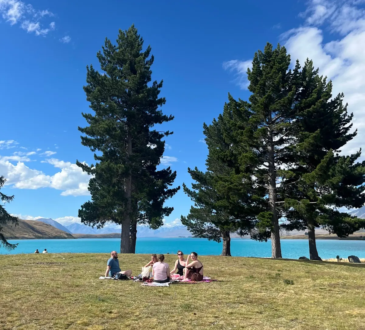 picknick-onder-dennenbomen-bij-meer &middot; new-zealand-north-to-south