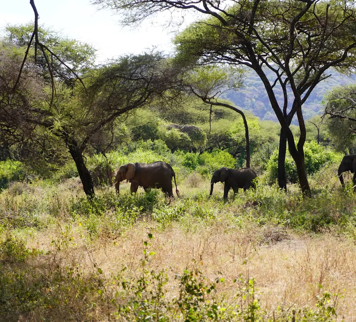 Country_Tanzania_highlights