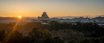 JAP TripProgram Template (20)