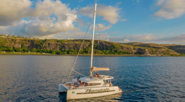 Ontspannen op een catamaran op zoek naar wildlife