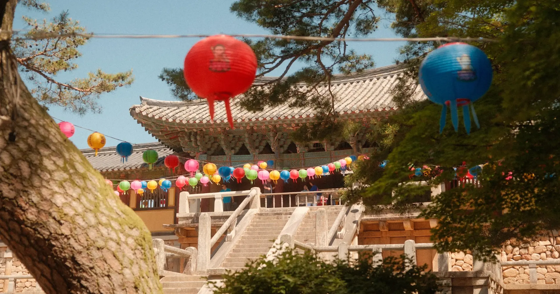 banner afbeelding over Groepsreis Zuid-Korea