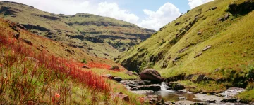 ZAS WEB TripProgram Drakensbergen