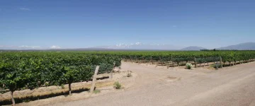 ARG PROGRAM MENDOZA 1