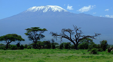 Aanschouw de kolossale Kilimanjaro