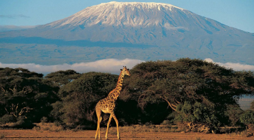 Beklim een stukje van de prachtige Kilimanjaro