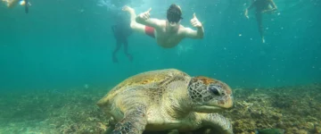 THA TripProgram Koh Tao