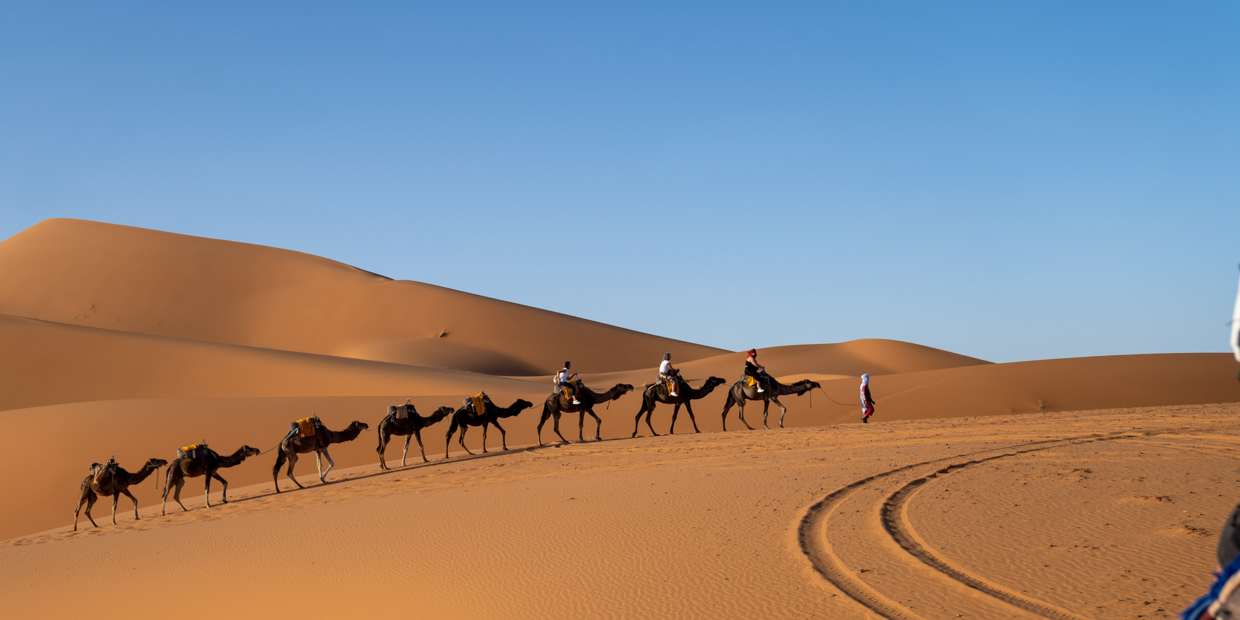 banner afbeelding over Groepsreis Marokko