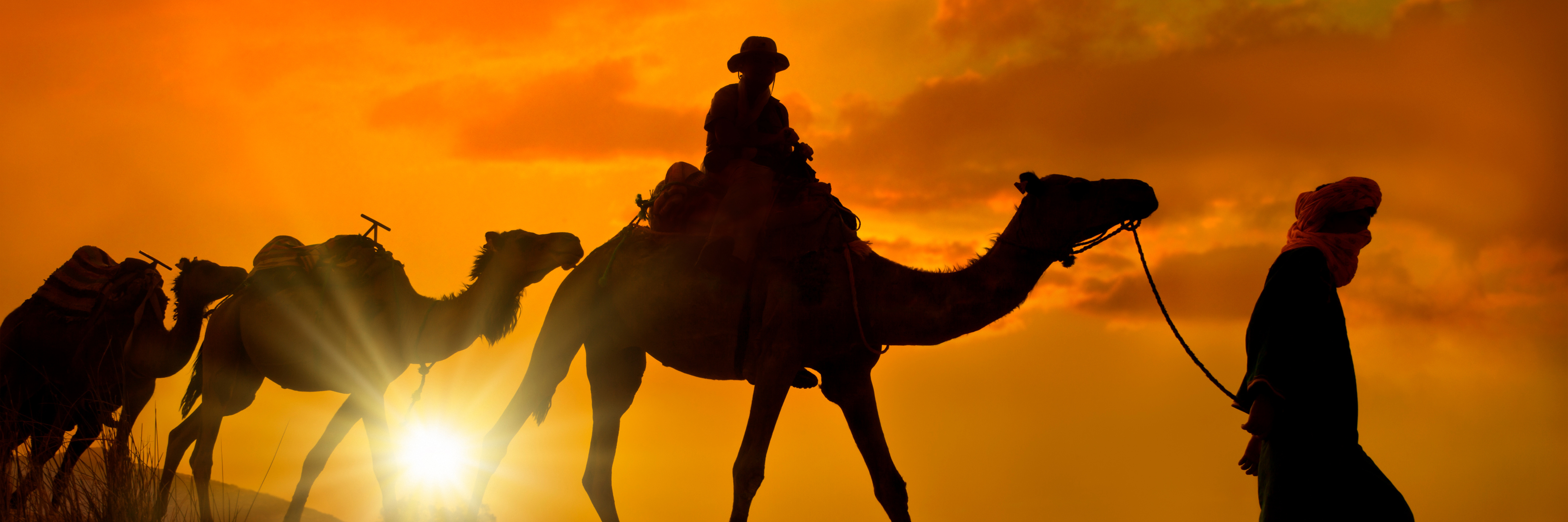 banner afbeelding over Groepsreis Marokko
