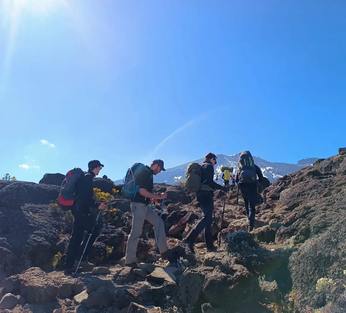 Een van de eerste dagen van de beklimming van de Kilimanjaro