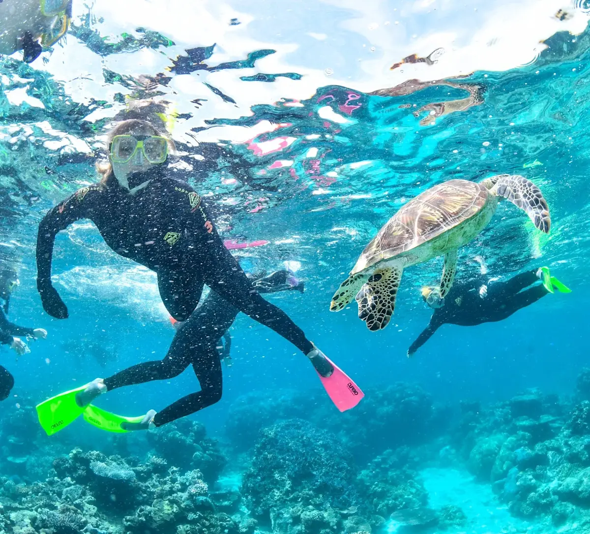 snorkeler-zwemt-met-zeeschildpad-en-koraal &middot; amazing-australia