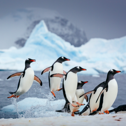 Antarctica