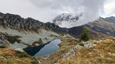 Ijsberen in koude bergmeertjes