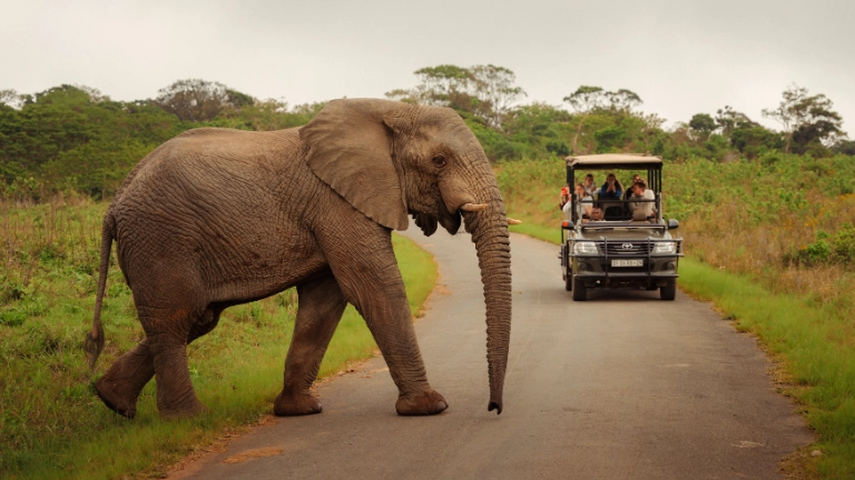 Afrika