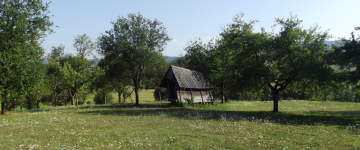 Mikulov Winetasting en fietstour