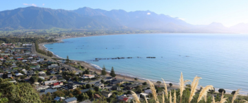 NZL Program13