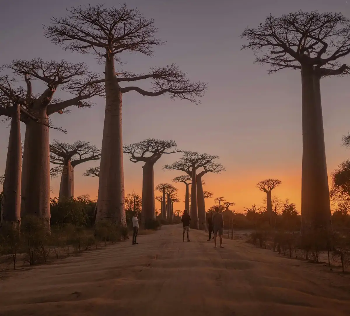 Blog_Madagaskar