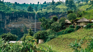 Sipi Falls hike & coffee tour