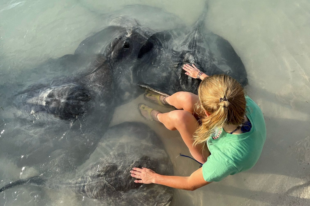 Groepsreis Guatemala - Belize roggen