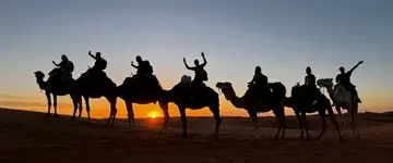 kamelentocht-bij-zonsondergang-in-woestijn