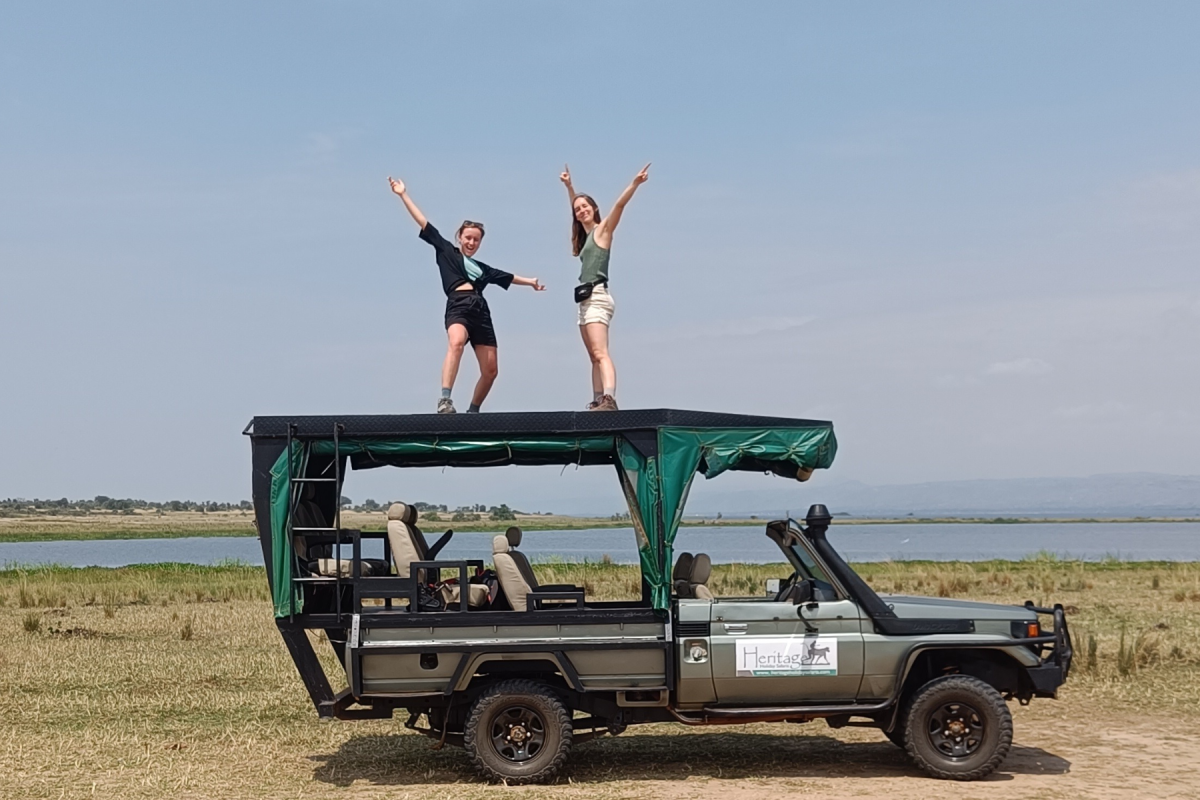 jeep safari