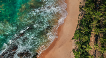 Kom tot rust op tropische surfstranden met een echte backpackers vibe