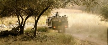 Programma RAJ 5.Ranthambore 1B