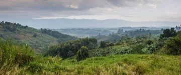 UGA TripProgram Fort Portal