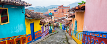 Trip COL Program (35)