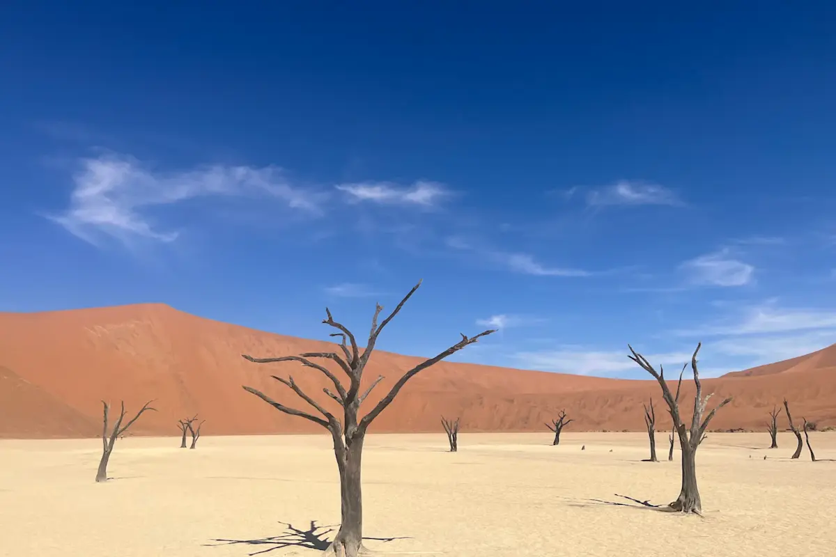 Foto Meerdere Landen Namibi&euml;