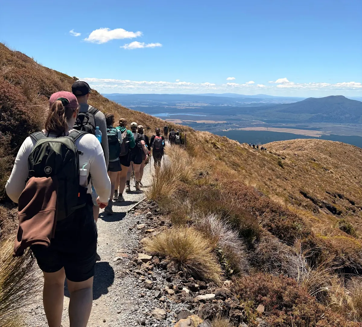 wandelaars-op-bergpad-met-uitzicht-over-vlaktes &middot; new-zealand-north-to-south