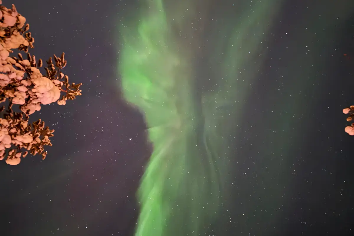 Noorderlicht blogpost foto 4